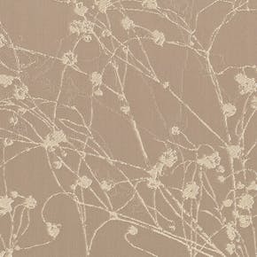 Collina Champagne Fi