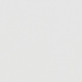 Carnival China White