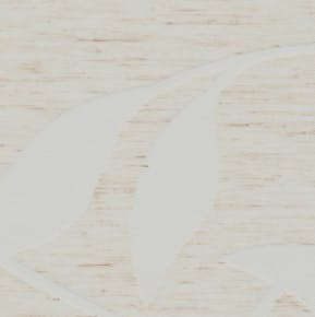 6500 Kundera Delight