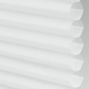 PX74001_HIVE_DELUXE_SWAN