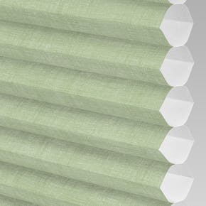 Hive_Deluxe_Sage_PX74008