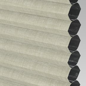 Hive_Deluxe_Blackout_Oyster_PX