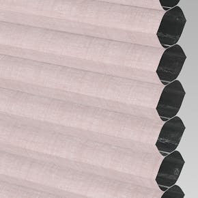 Hive_Deluxe_Blackout_Rose_PX75