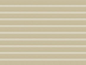 C-7464-01-HC (Apollo BO 7464 C