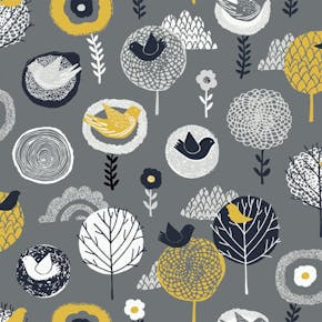 BIRDSONG_MIDNIGHT-600x600