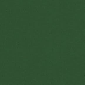 CARNIVAL_EDEN-600x600