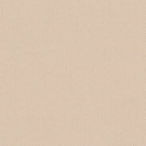 CARNIVAL_NOUGAT-600x600