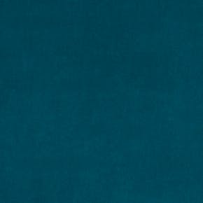 ARENA-2021-SOFTS-SWATCH-HAMPTO