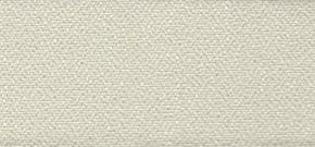 Festival ESP Cream  5