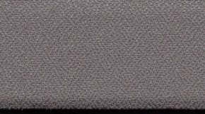 Festival ESP Shadow 5