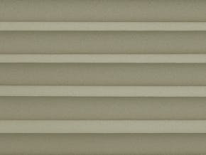 C-153-08-01-PL (Leto ASC Mouse