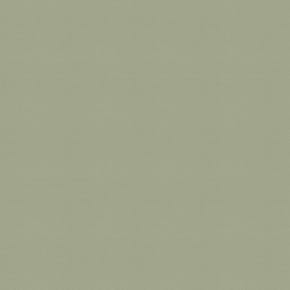 Palette FR Desert Sage Roller