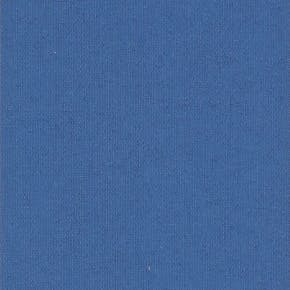 Polaris Royal Blue Roller