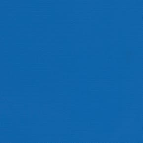 EX-LITE_BO_HEALTHCARE_BLUE