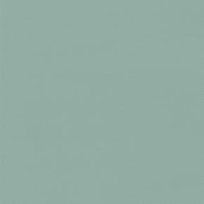 EX-LITE_BO_HEALTHCARE_GREEN