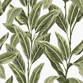 TROPICAL_PALM_BO_ALOHA