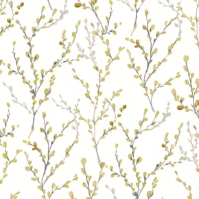 WILLOW_BO_BRAZEN_YELLOW