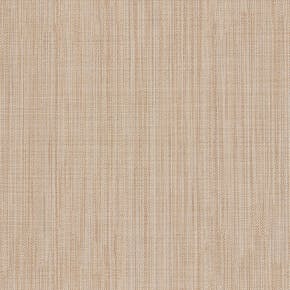 RP5488_Ducato_Cholla