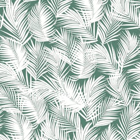 RP5478_Kashi Paradise